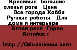 Красивые  большие оленьи рога › Цена ­ 3 000 - Все города Хобби. Ручные работы » Для дома и интерьера   . Алтай респ.,Горно-Алтайск г.